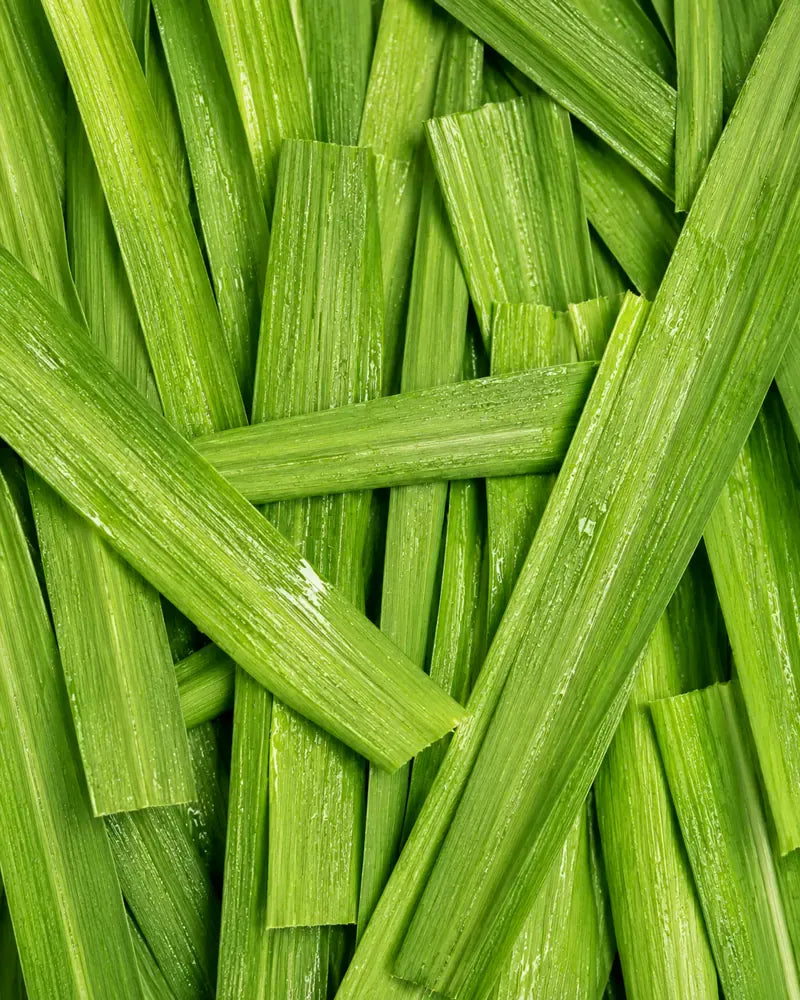 Lemongrass